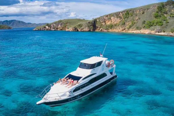 One day Komodo speed boat tour
