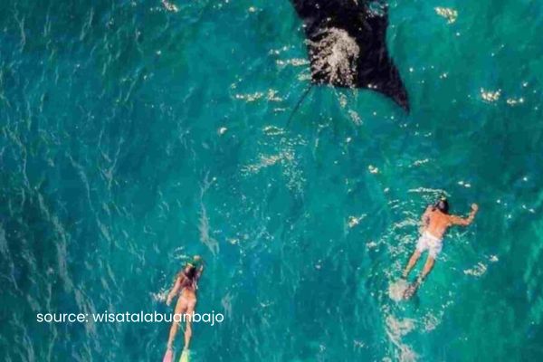 manta point labuan bajo