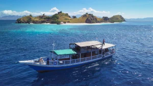 komodo day trip from labuan bajo