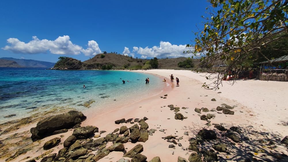 komodo day trip from labuan bajo