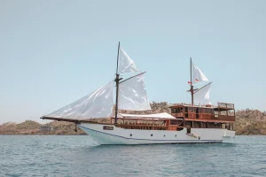 Komodo tour packages