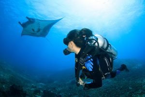 Komodo Scuba