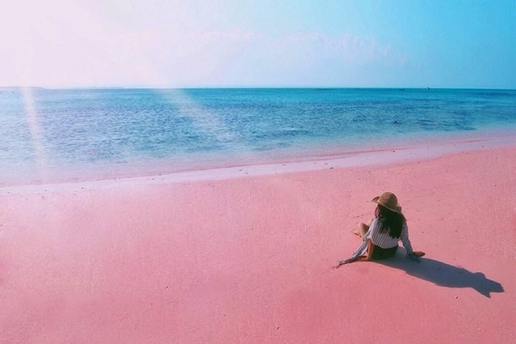pink sands