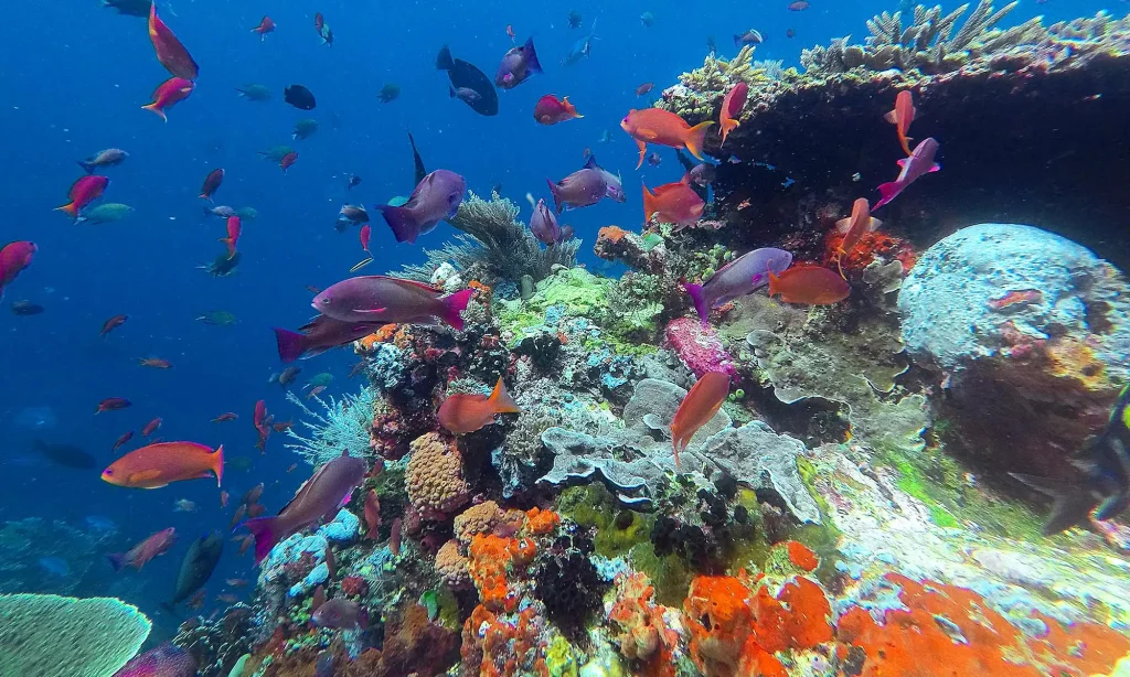 Best Snorkeling Spots