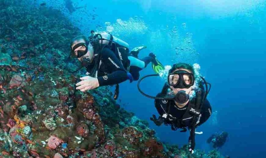 Dive Center Komodo