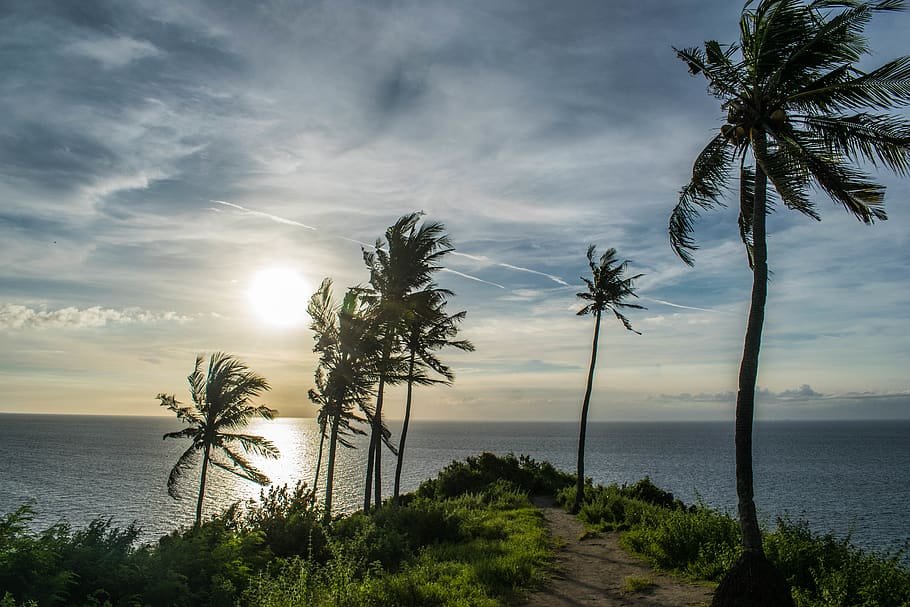 Indonesia Nature