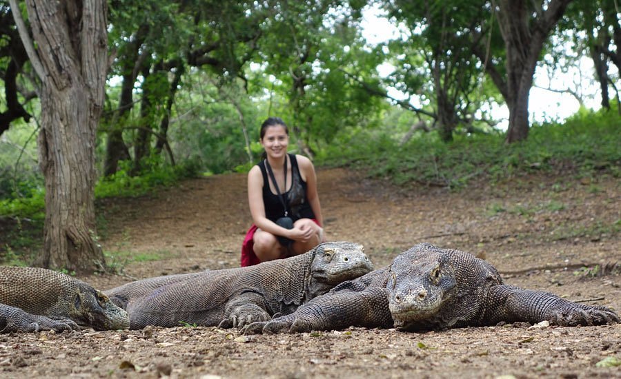 Komodo Harmony Tour