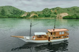 Trips to See Komodo Dragons