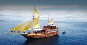 Komodo Island boat tour to Lombok