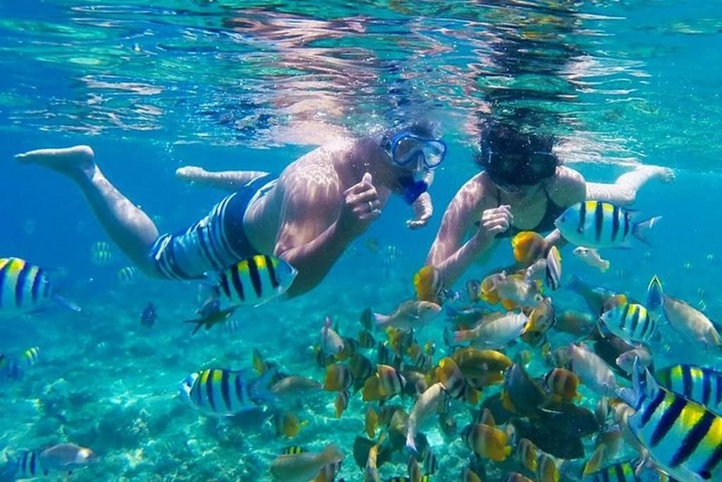 Komodo Island boat tour reviews