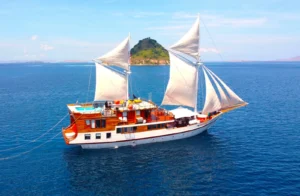 Komodo Island tour to Lombok