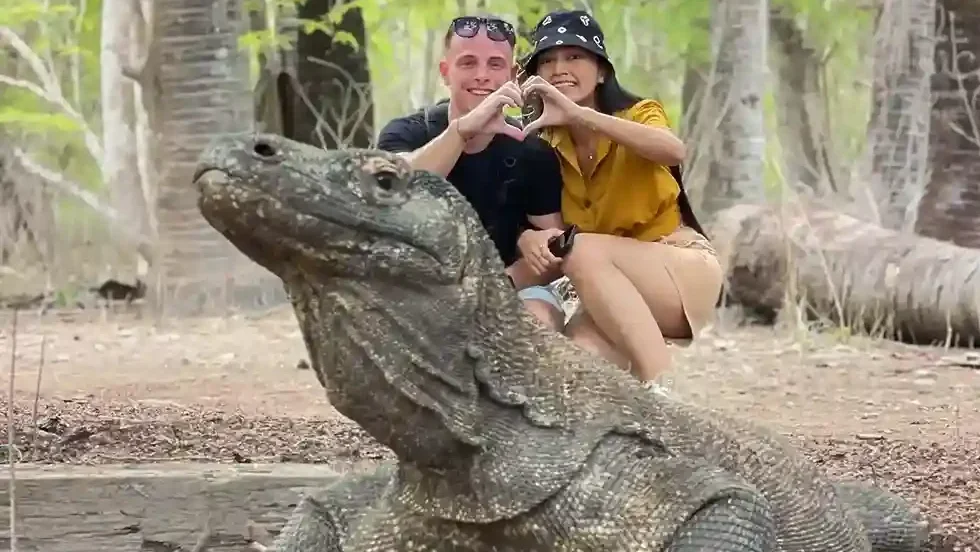 Komodo Island travel tips