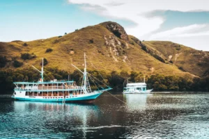 Komodo trip get your guide