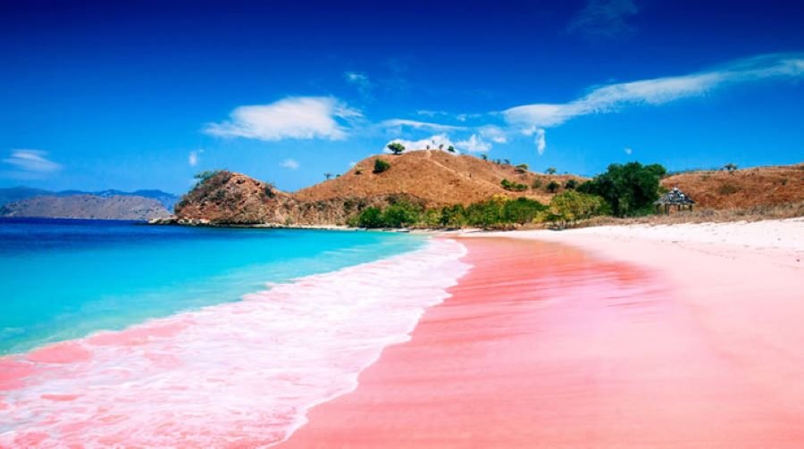 Padar Island Indonesia Pink Beach