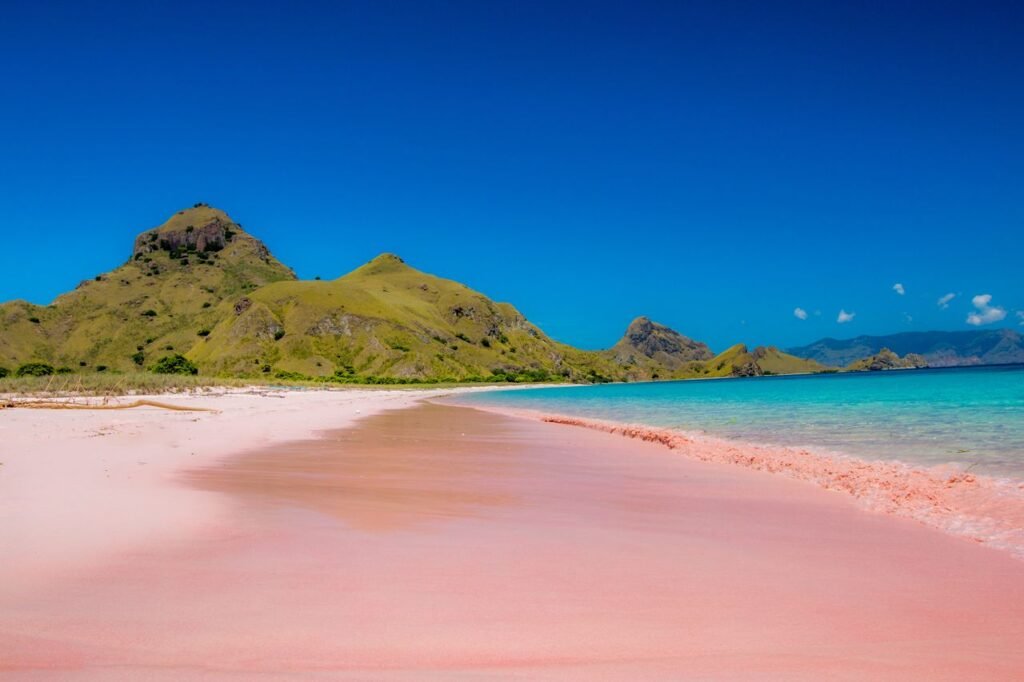 Padar Island Indonesia Pink Beach