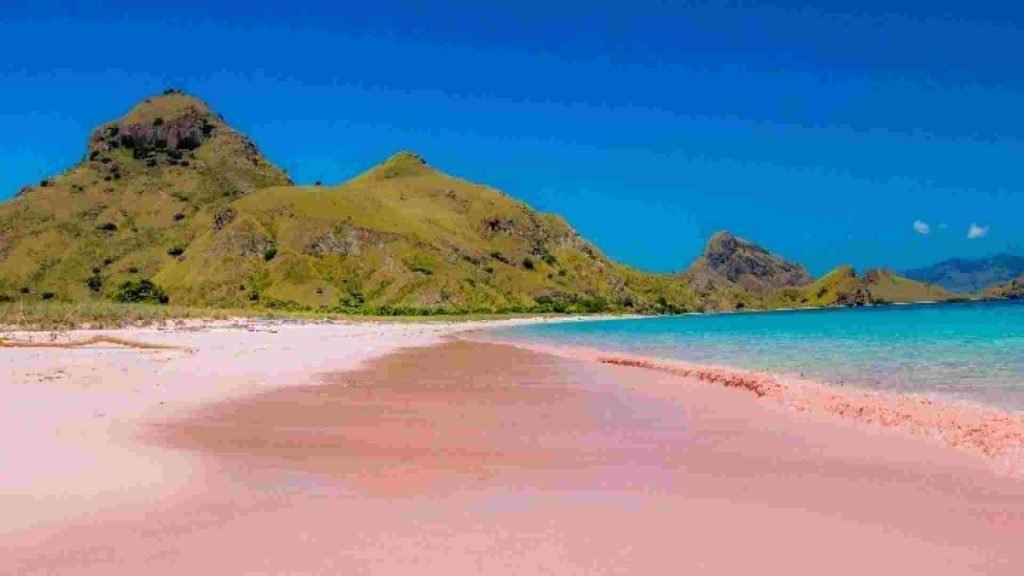Padar Island Indonesia Pink Beach