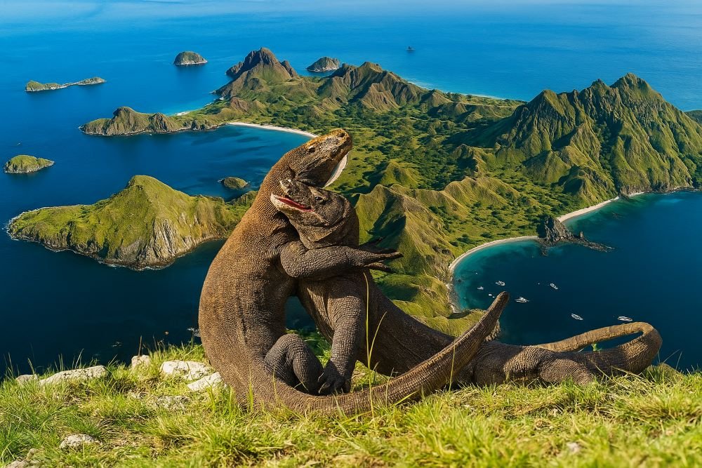 Komodo Island tour 2 days 1 night
