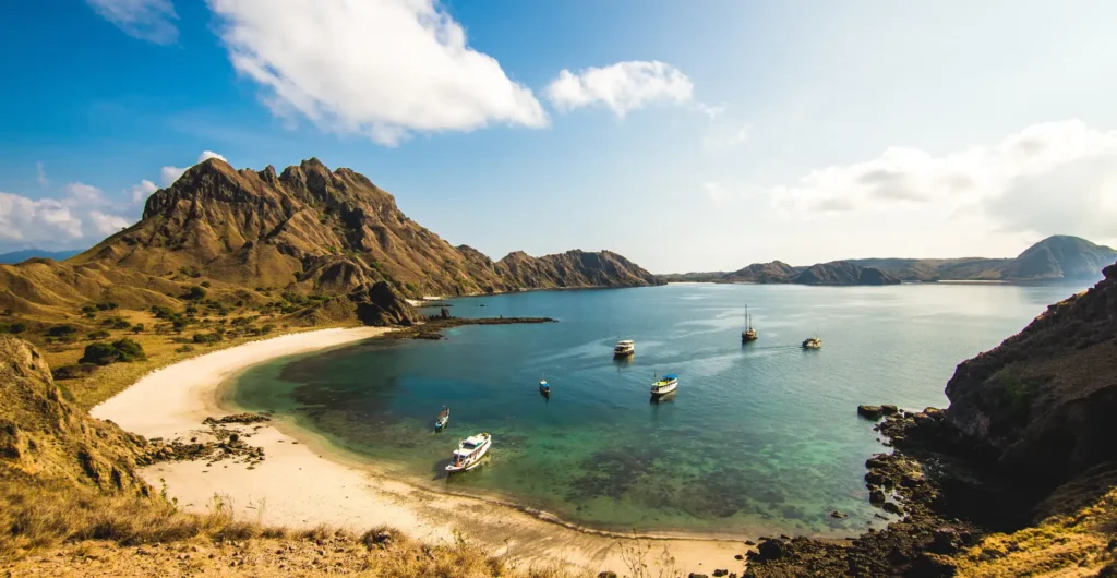 Komodo Island tour recommendations