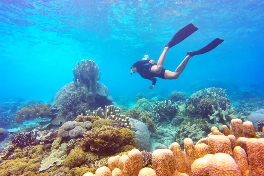 Labuan Bajo Beach