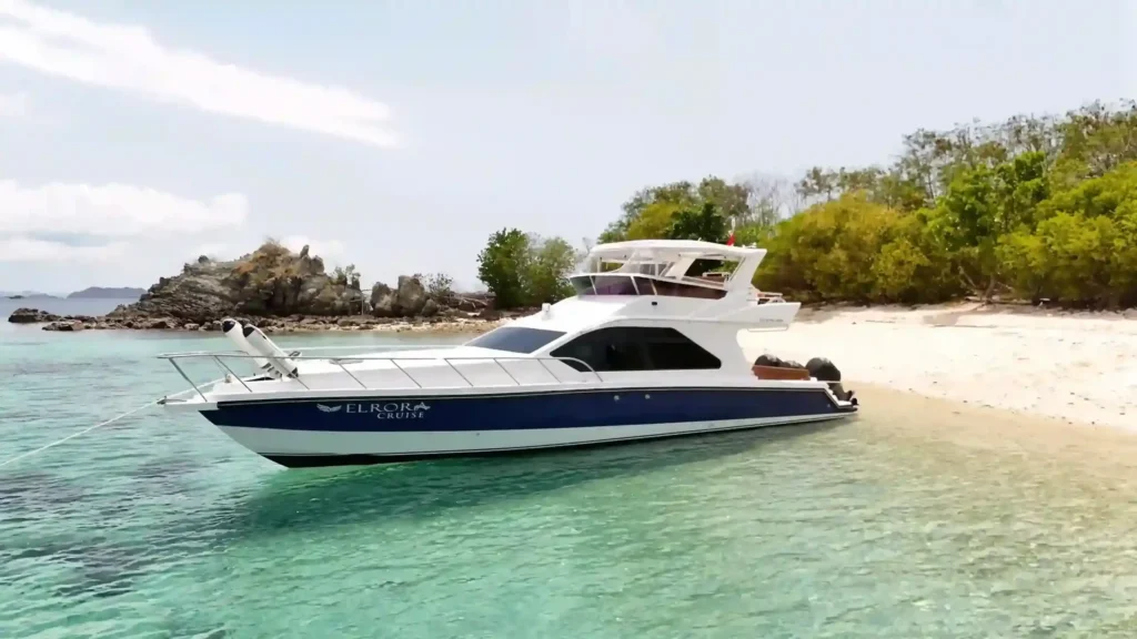 Komodo Island speedboat tour