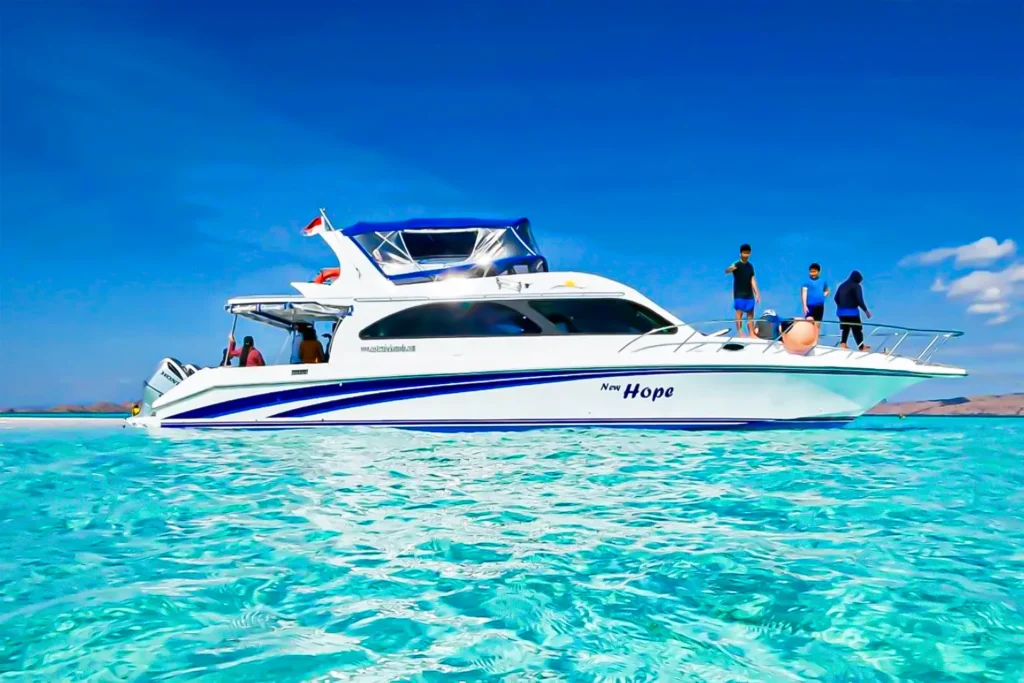 Komodo Island speedboat tour
