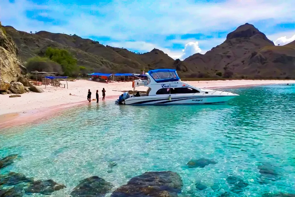 Komodo Island speedboat tour