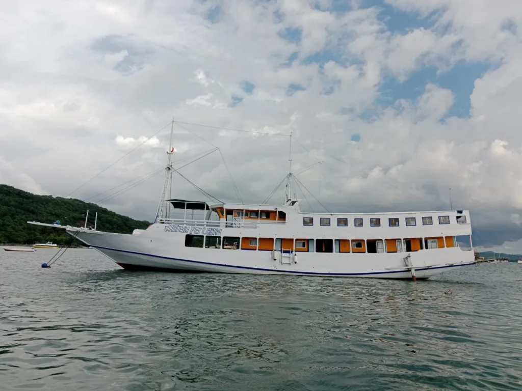 Komodo travel wise