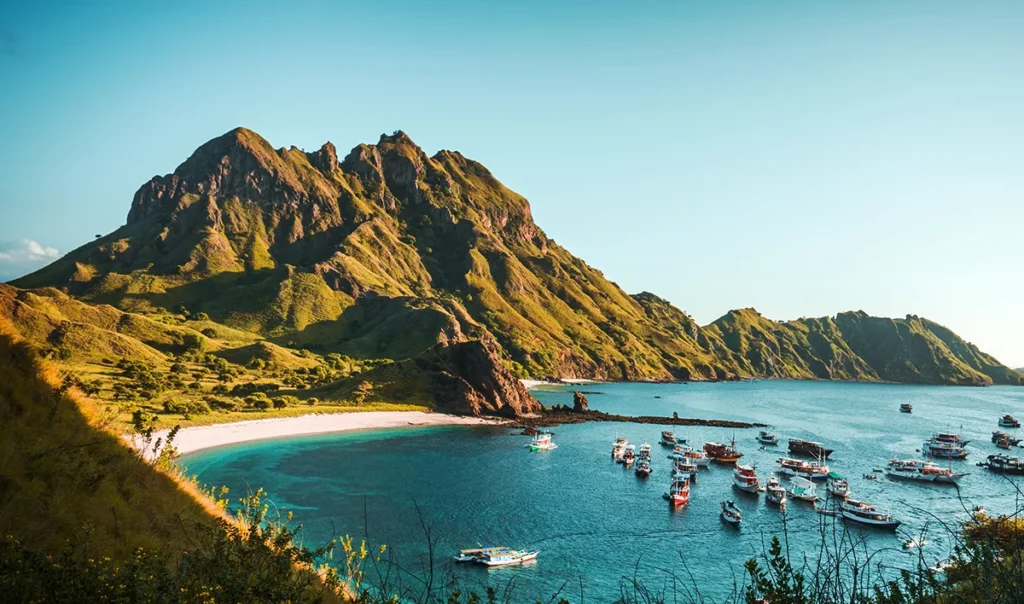 Komodo travel wise
