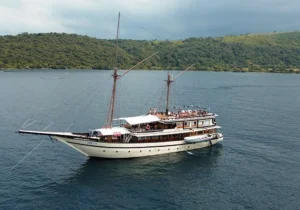 Komodo Island tour 4 days 3 nights