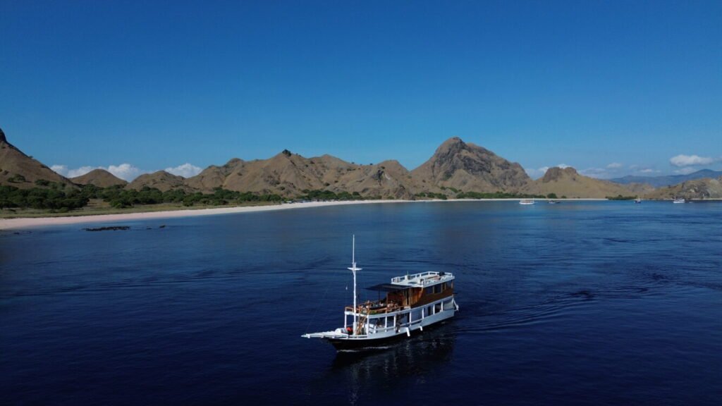 Komodo dragon tour Lombok
