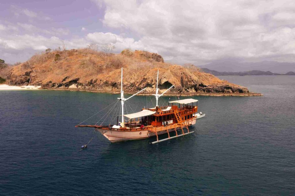 Komodo dragon tour Lombok