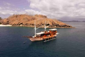Komodo dragon tour Lombok