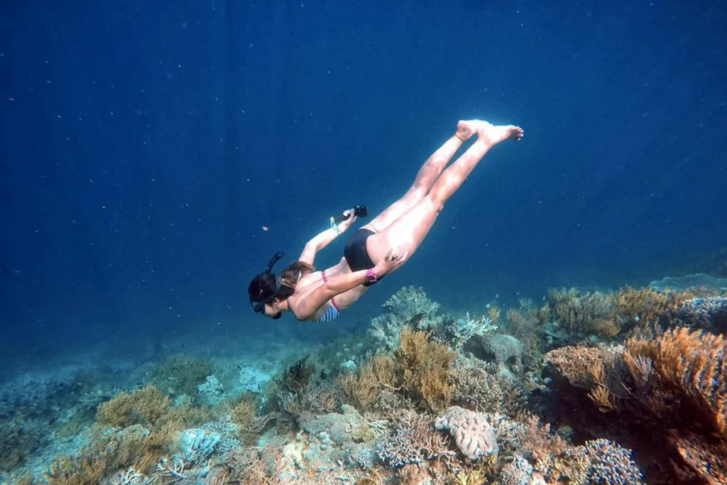 Komodo tour recommendations