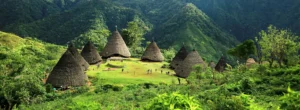 Wae Rebo traditional village