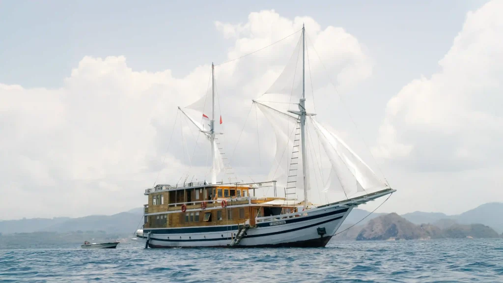 Komodo Island tour best