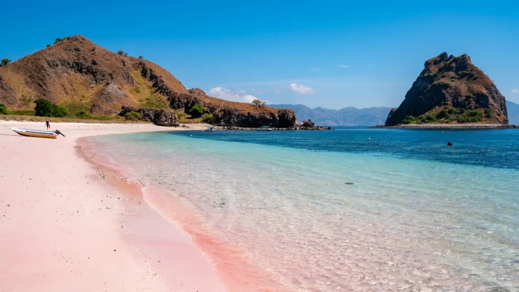 Komodo Island tour from Singapore