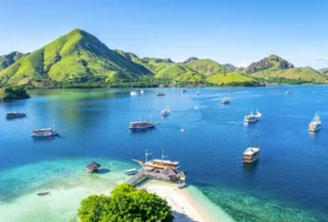 Komodo Island tour from Singapore