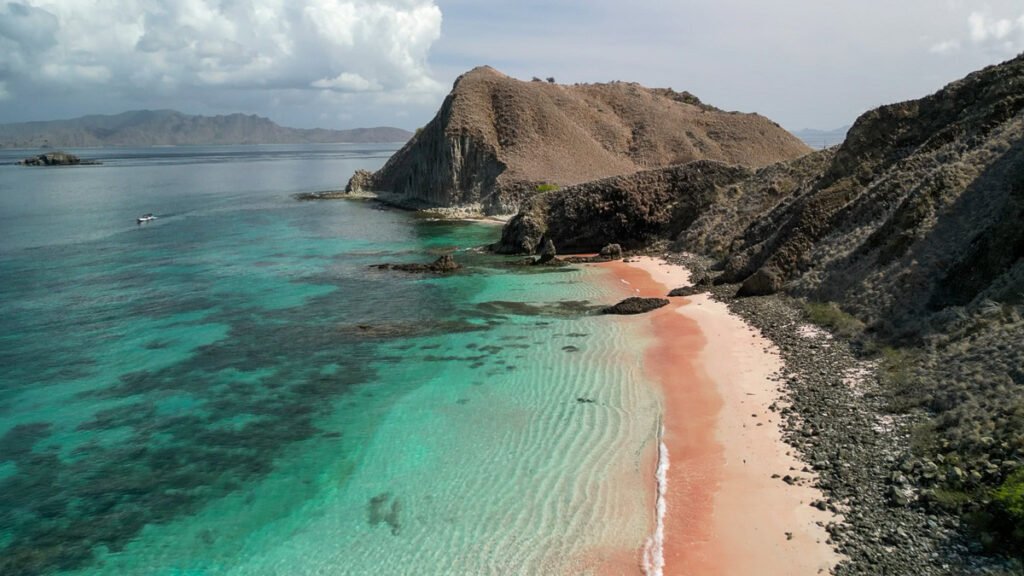Komodo trip one day