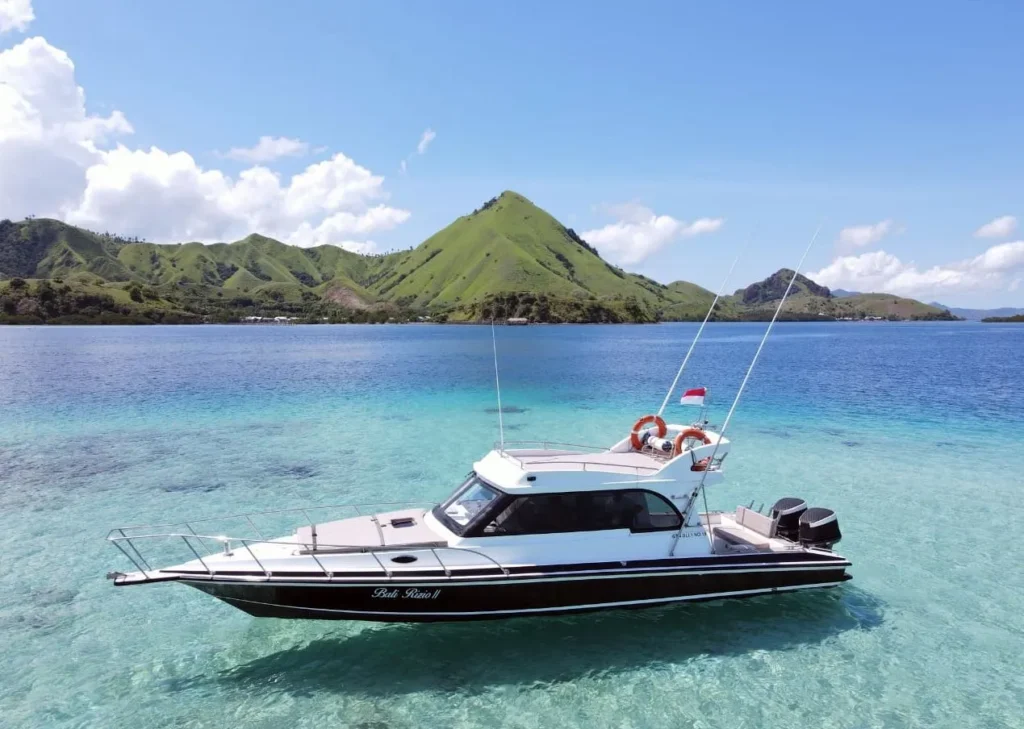 Komodo trip one day
