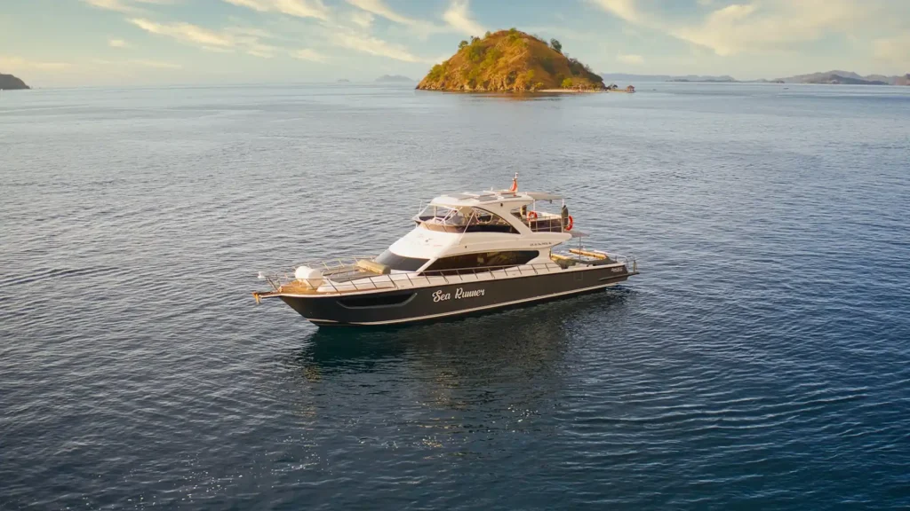 Komodo Island day trip from Gili T