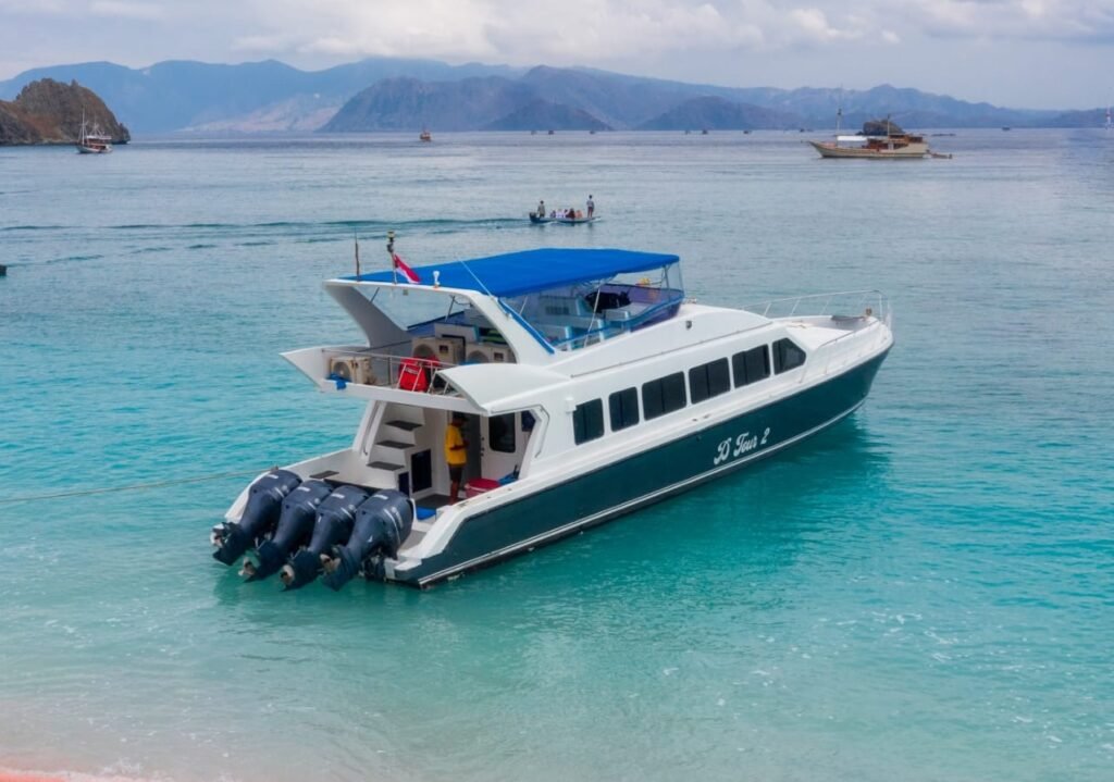 Komodo Island day trip from Gili T