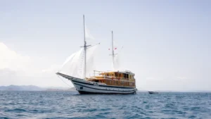 Komodo Island tour companies