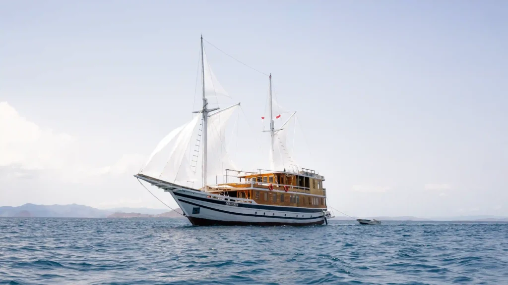 Komodo Island tour companies
