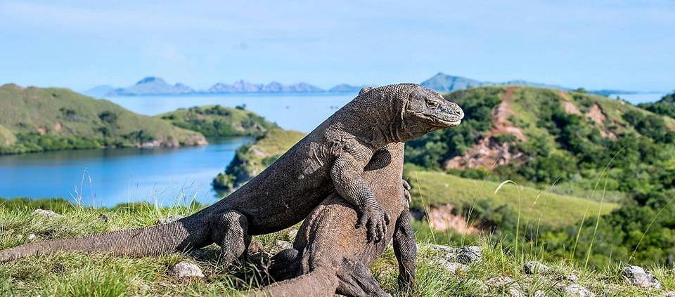 boat trip from Lombok to Komodo Island