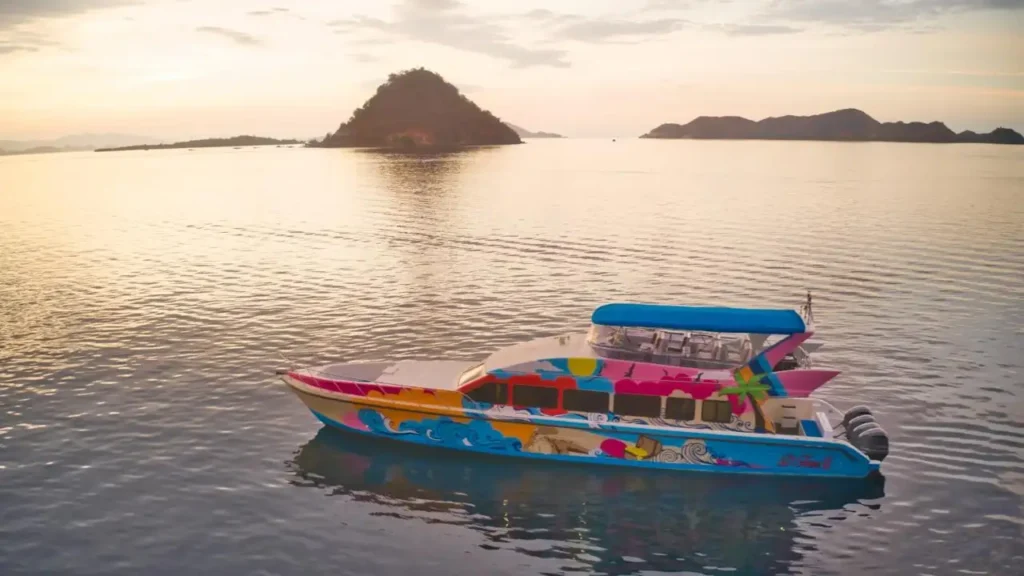 Komodo Island 1 day trip