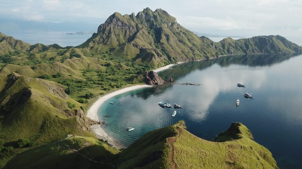 Komodo day trip from Labuan Bajo