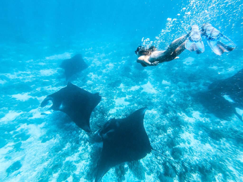 Komodo tour day