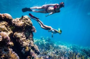 Komodo Island snorkeling tour