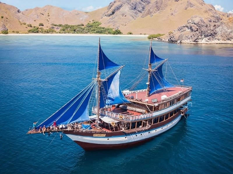 Komodo Island Tour Viator