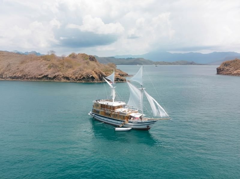 Komodo Island Tour Viator